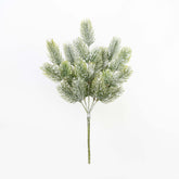 12" SNOW PINE BUSH X 5