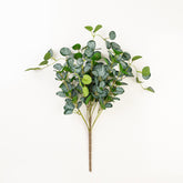 24" CEROPEGIA WOODII BUSH