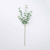 34" EUCALYPTUS LEAF SPRAY X 5