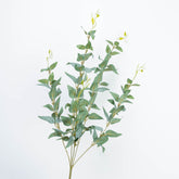 36" JUJUBE LEAF SPRAY