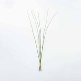 42" BAMBOO STICK BUNDLE X 6