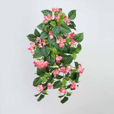 24.5" BOUGAINVILLEA BUSH