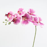 34" PHALAENOPSIS ORCHID SPRAY
