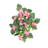 19" BOUGAINVILLEA BUSH