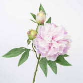 25" PEONY SPRAY