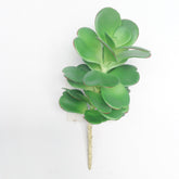 10"L PE JADE SUCCULENT PICK