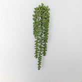 19" STRING PEARL SUCCULENT