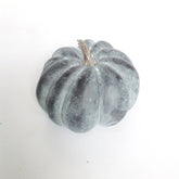 8" WP WEATHERED PUMPKIN W/STEM
