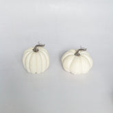 5-6" MINI AUTUMN PUMPKIN 2/AST