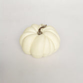 8" AUTUMN SQUAT PUMPKIN