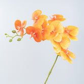 35" PHALAENOPSIS SPRAY