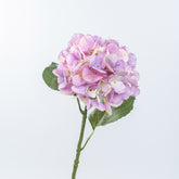 21.5" HYDRANGEA STEM