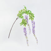 69" WISTERIA BRANCH X 3
