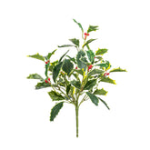 15" HOLLY BUSH