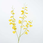 35" DANCING ORCHID SPRAY