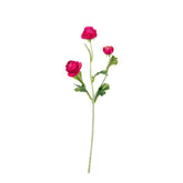 17" RANUNCULUS SPRAY