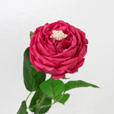 17.5" REAL TOUCH AUSTIN ROSE STEM HEAD 9CM