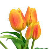 12" TULIP BUNDLE X 5