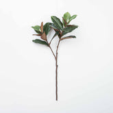 31" MAGNOLIA LEAF BRANCH X 2