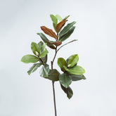 38" MAGNOLIA LEAF BRANCH X 3