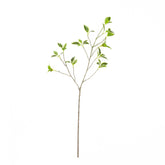 33" FICUS LEAF SPRAY