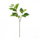 26" HYDRANGEA LEAF SPRAY