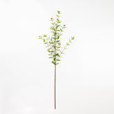 32" EUCALYPTUS SPRAY