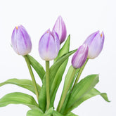 12" SOFT TOUCH TULIP BUNDLE X 5