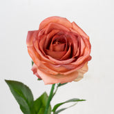23" REAL TOUCH ROSE STEM HEAD 9CM