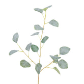 32" EUCALYPTUS SPRAY