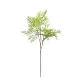 40" MAIDENHAIR BRANCH