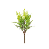 25" FERN BUSH X 5