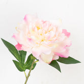 18" PEONY PICK