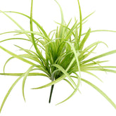 19" GRASS BUSH