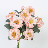 14" CAMELLIA BUNDLE X 5