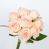 13" ROSE BUNDLE X 8