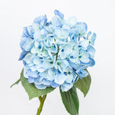 25" REAL TOUCH HYDRANGEA SPRAY