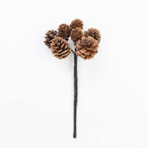 9.5" PINECONE PICK X 7