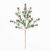 14" SMOW BERRY BOXWOOD PICK