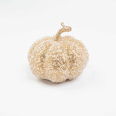 5X5.5" ICE BEADED PUMPKIN