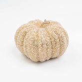 9X6" ICE BEADED PUMPKIN