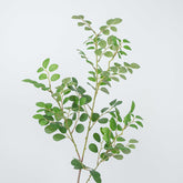 38" JUJUBE LEAF SPRAY