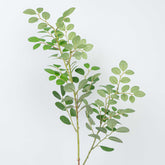 27" JUJUBE LEAF SPRAY