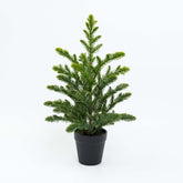 16" PINE TREE POTTED