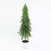 29" PINE TREE POTTED
