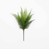 17" SOFT TOUCH CEDAR BUSH