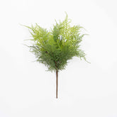 17"-19" SOFT TOUCH ASPARAGUS FERN BUSH