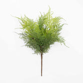 17" SOFT TOUCH ASPARAGUS FERN BUSH