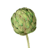 25" ARTICHOKE STEM