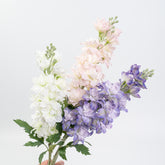 23" DELPHINIUM SPRAY